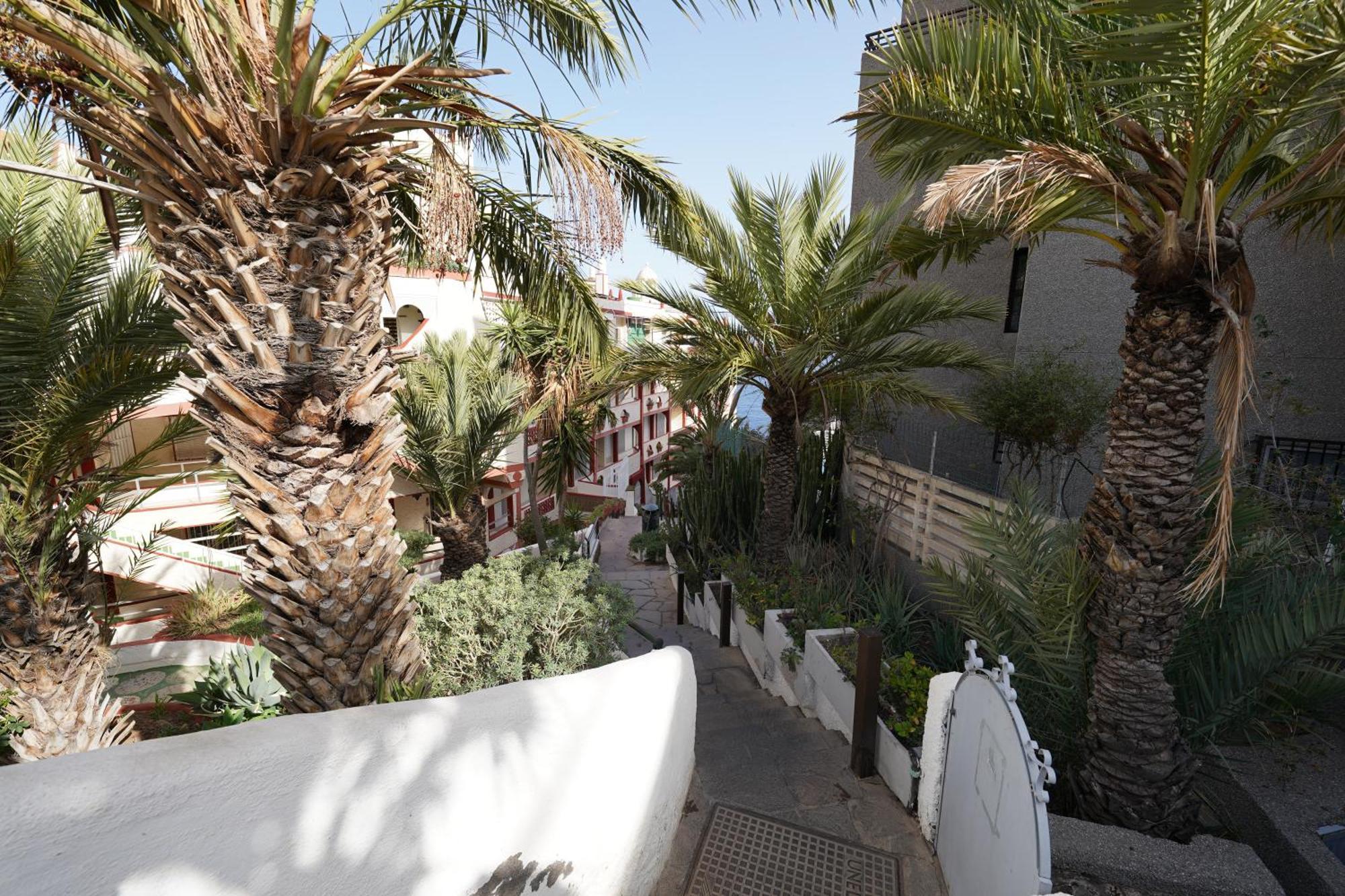 Tabaiba Ocean View First Sea Line Apartment מראה חיצוני תמונה